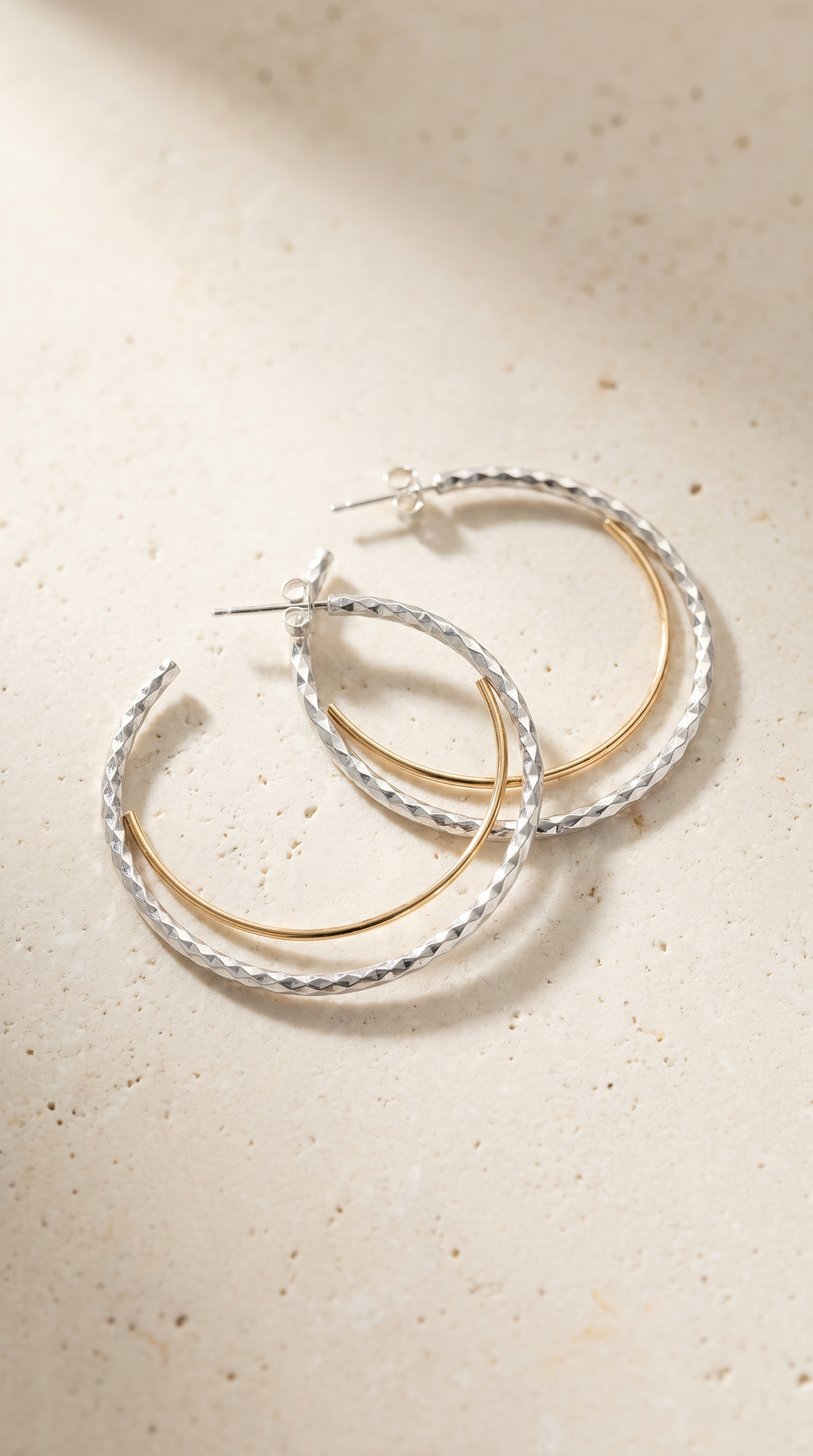 Double Hoop Two-Tone Earrings